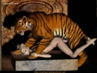 Zoo porn slut getting fucked by a tiger